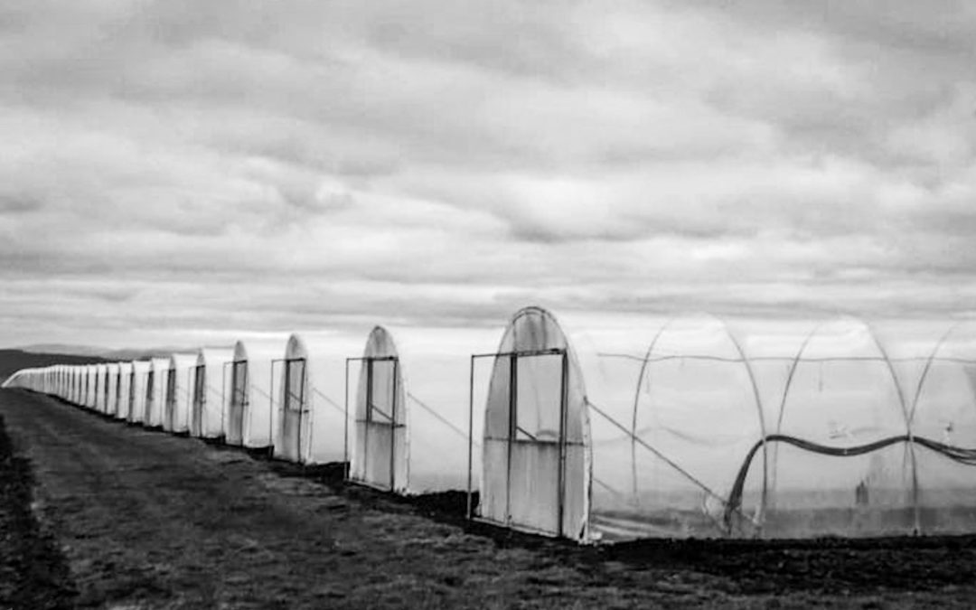 6/7 (S13:Midseason Break)