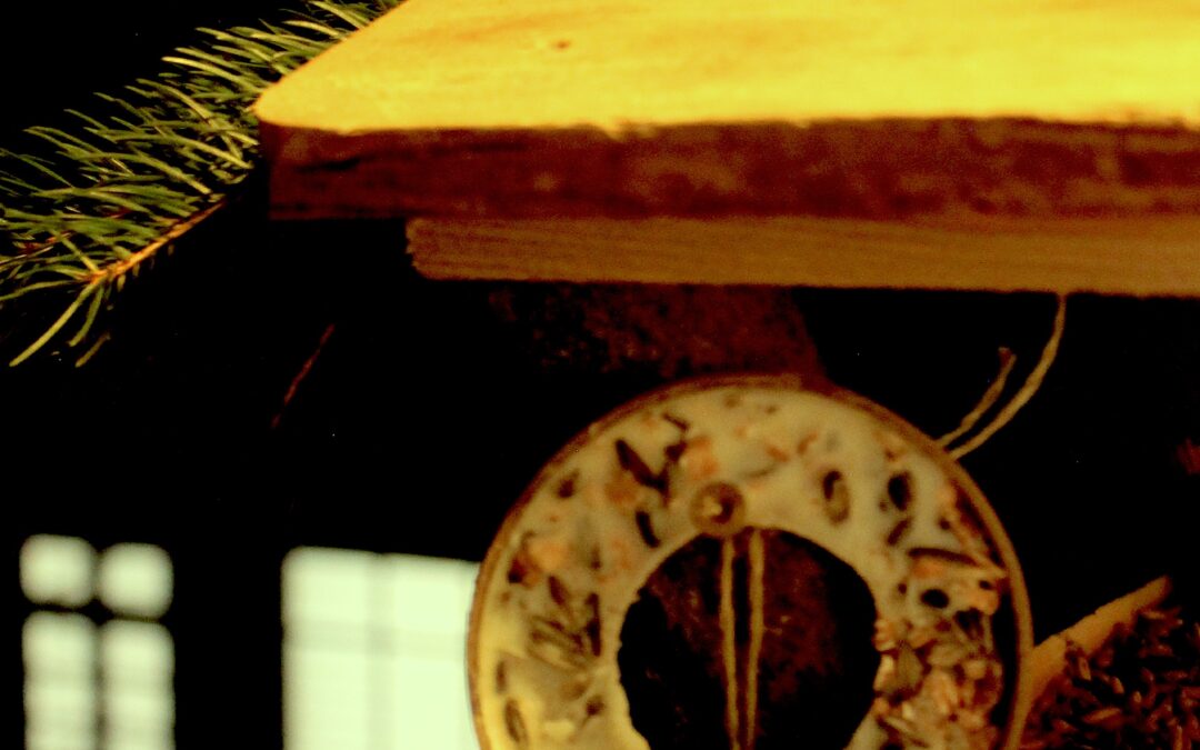 Lose Control By Default (S13:Ep10)