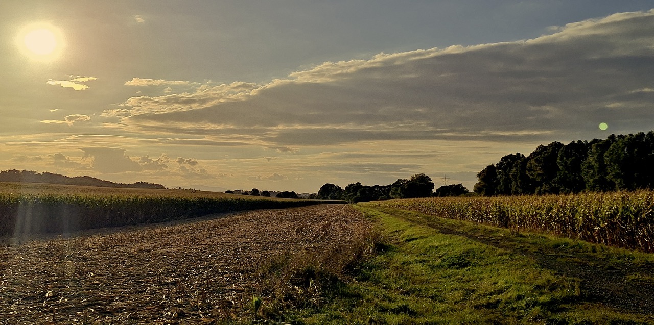 Groß (20260918_180116)